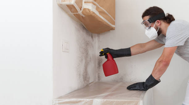 Professional Bathroom Mold Removal technician working in Cambridge, MA