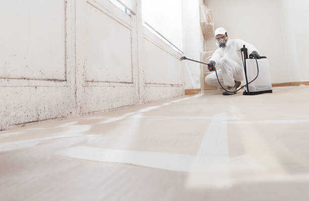 24/7 Emergency Bathroom Mold Removal experts in Cambridge, MA