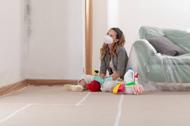 Reliable Bathroom Mold Removal contractor in Cambridge, MA by WQB Mold Removal